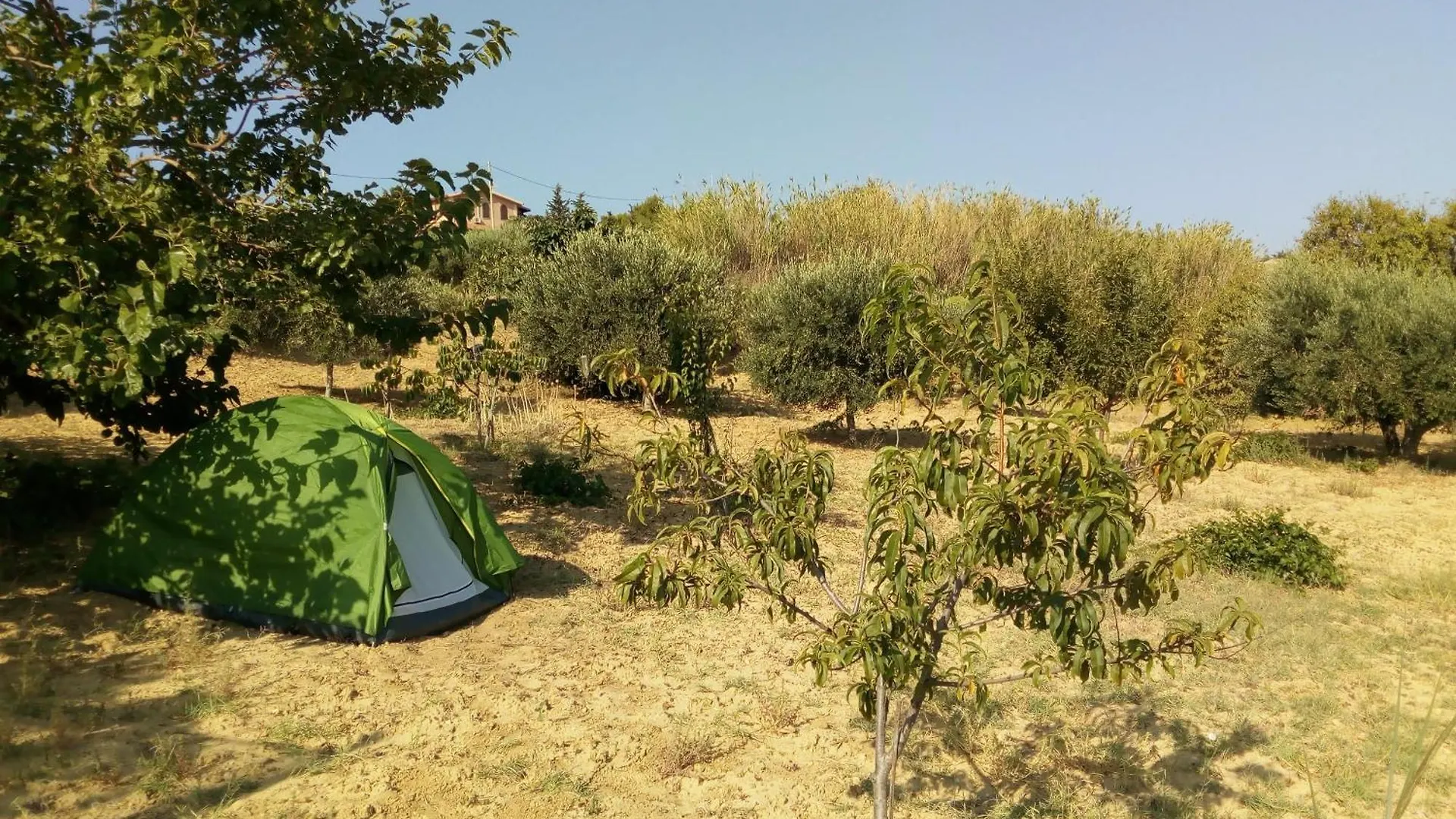 Guest house Pergole Hotel Realmonte